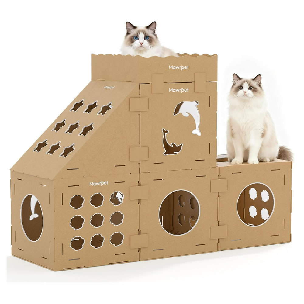 猫爬箱组