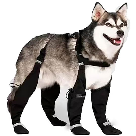 狗狗背带靴